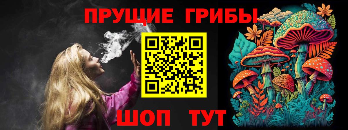 Галлюциногенные грибы Cubensis  Вход с VPN  Верхняя Салда 